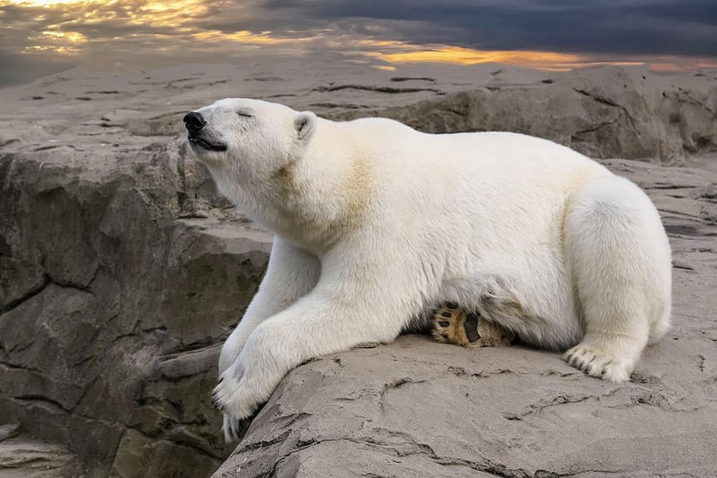 Svalbard, Norway